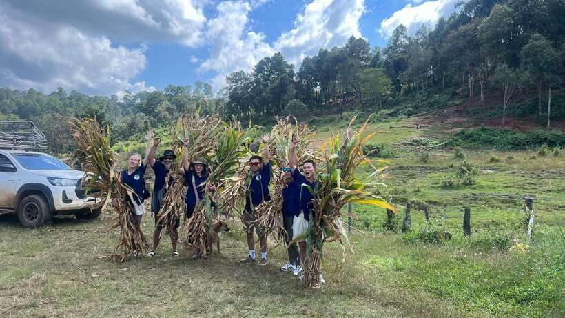 chiangmai-overnight-trip-with-ethical-elephant-santuary