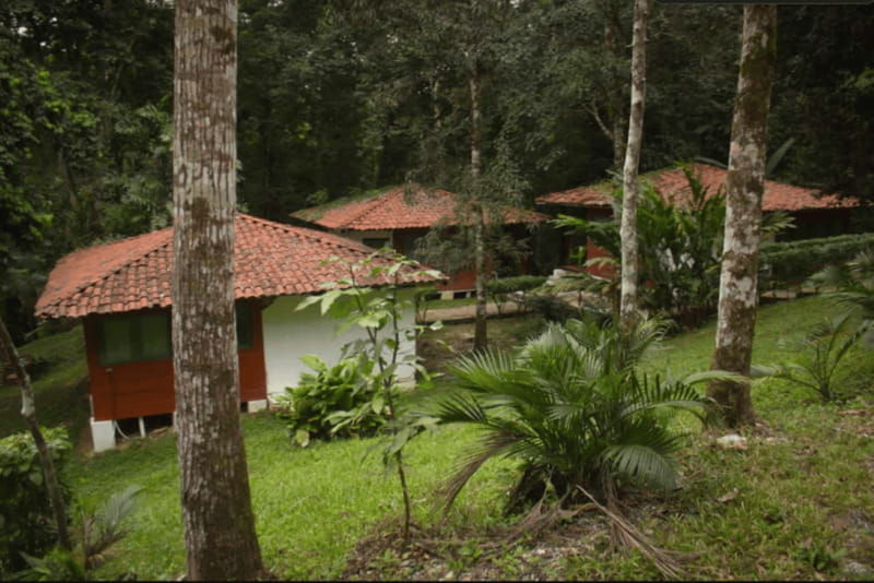 chiapas-palenque-agua-azul-and-misol-ha