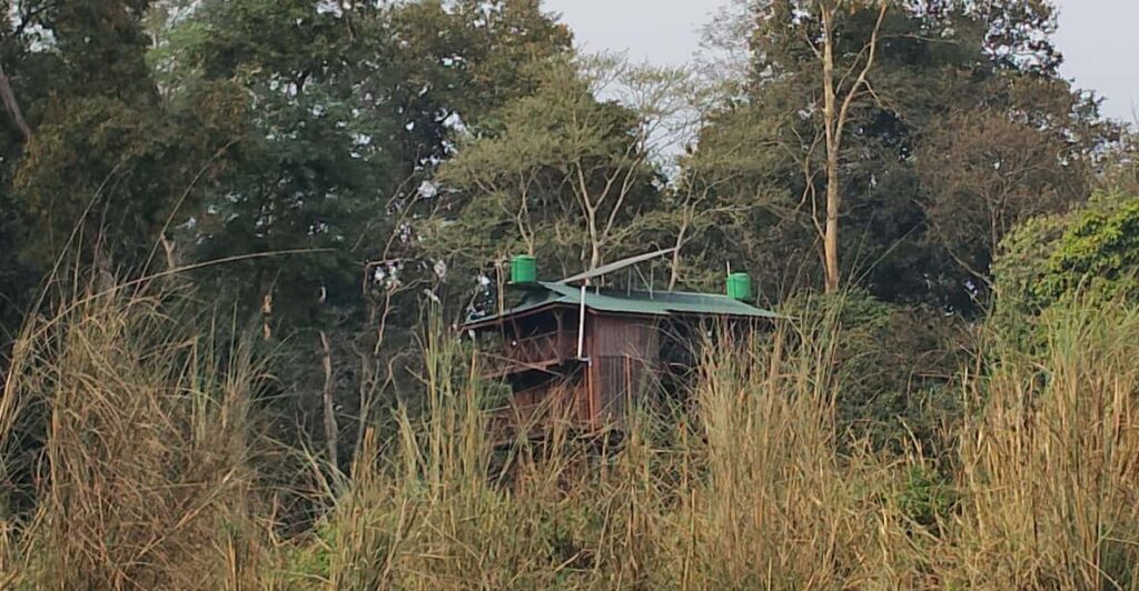 Chitwan: Jungle One Night Towerstay in Chitwan National Park