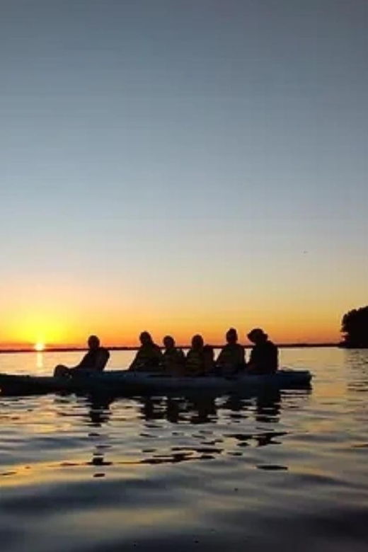cocoa-beach-merritt-island-guided-dolphin-and-manatee-tour