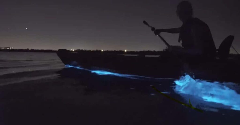 Cocoa Beach/Merritt Island:Bioluminescent Kayak Tour
