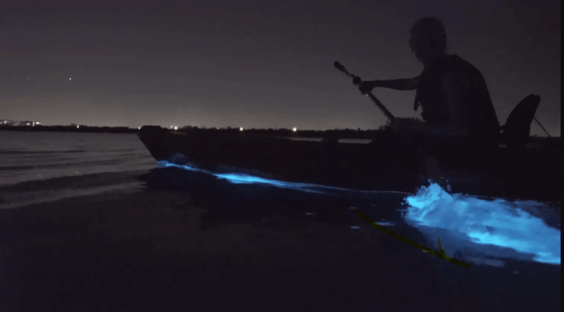 cocoa-beach-merritt-islandbioluminescent-kayak-tour