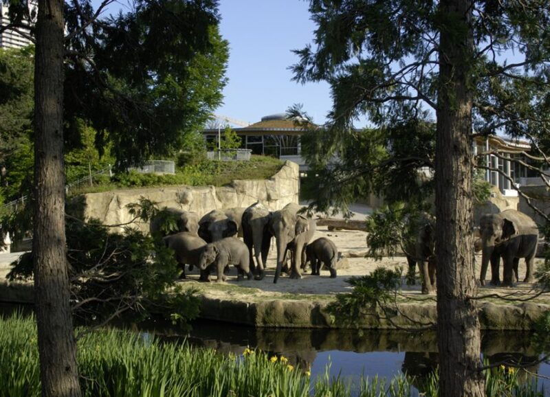 cologne-cologne-zoo-and-aquarium-entry-ticket
