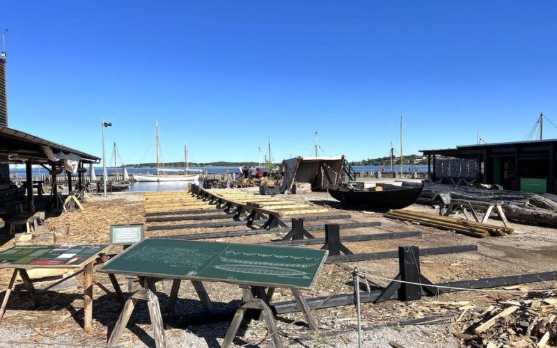 copenhagen-roskilde-viking-city-tour-in-spanish
