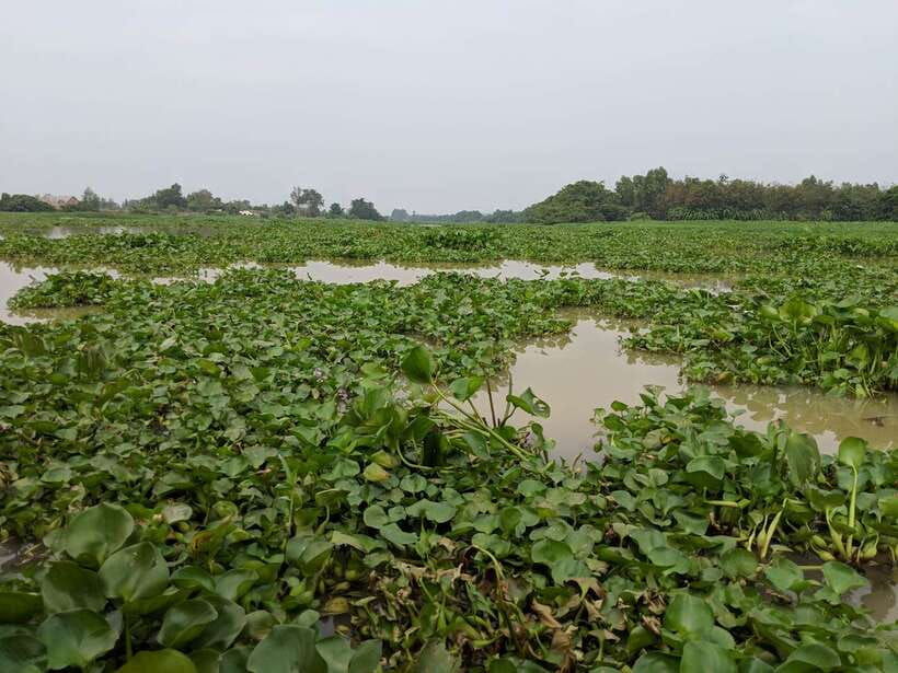 cu-chi-tunnels-mekong-delta-private-tour-full-day