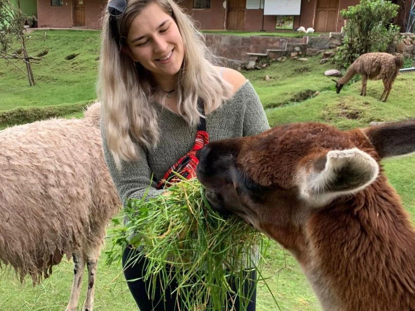 cusco-cochahuasi-animal-sanctuary-tour-with-rescued-animals