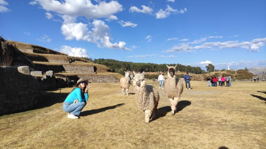 cusco-private-city-tour-with-coricancha-and-4-ruins