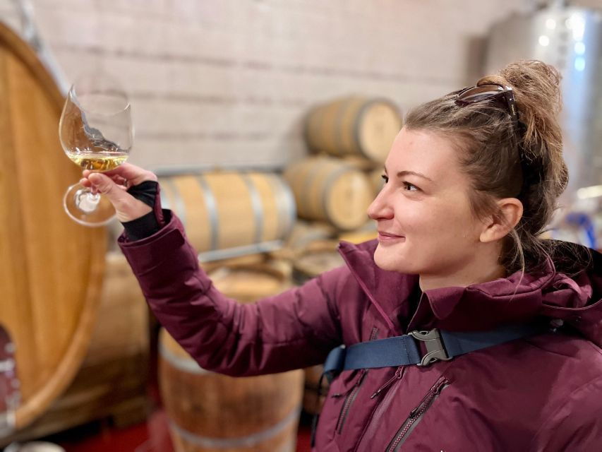 czech-vineyards-and-wine-tasting-4wd-tour-with-lunch