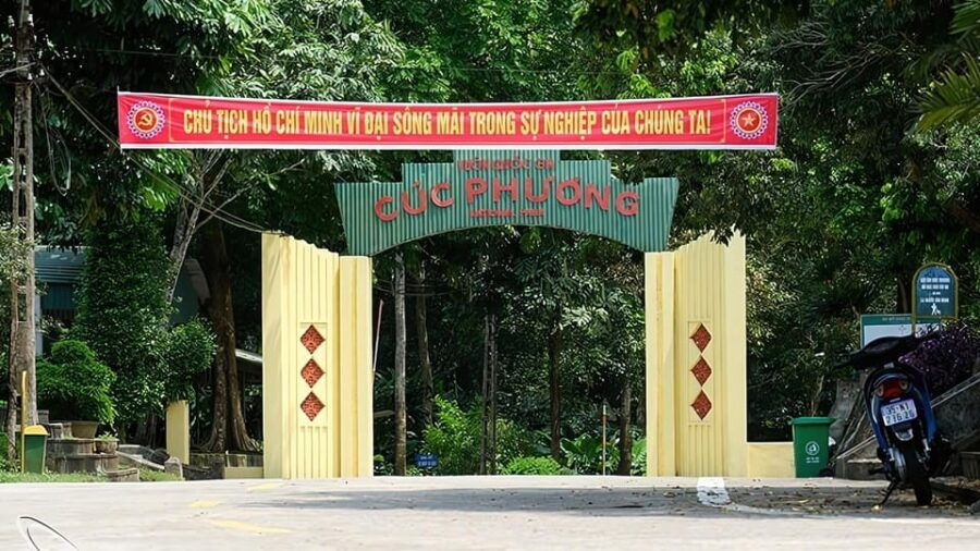 day-trip-for-a-group-to-cuc-phuong-national-park