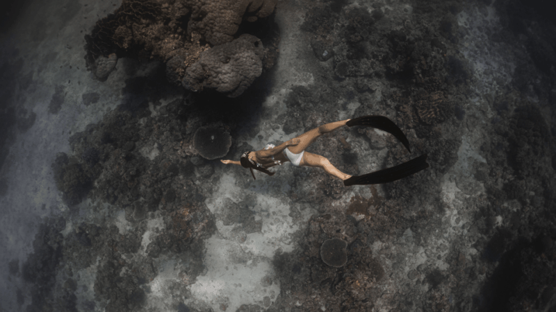 discover-freediving-in-boracay