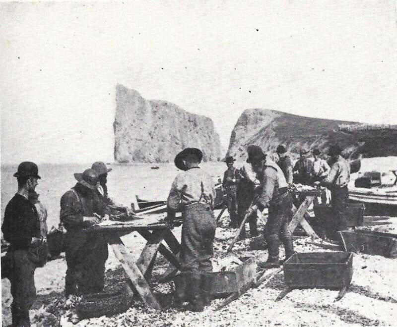 discover-gaspe-virtual-guided-tour