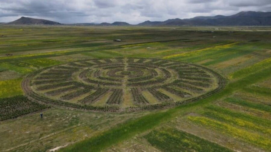 discover-puno-aymara-route-and-titicaca-castle-entrance