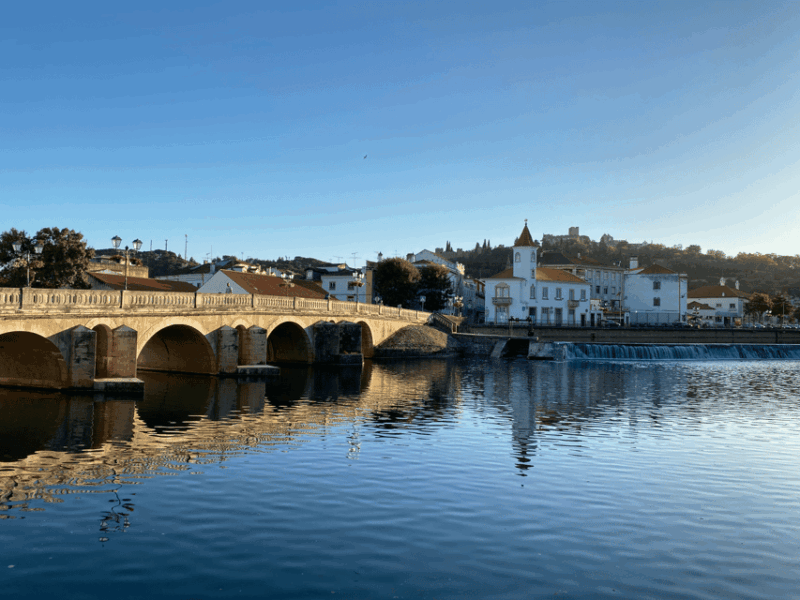 discover-tomars-history-with-a-local-guide-and-enjoy-tapas