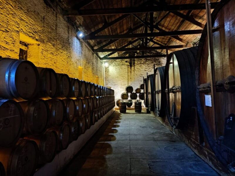 douro-valley-pinhao-quinta-da-foz-tourtasting-5-wines