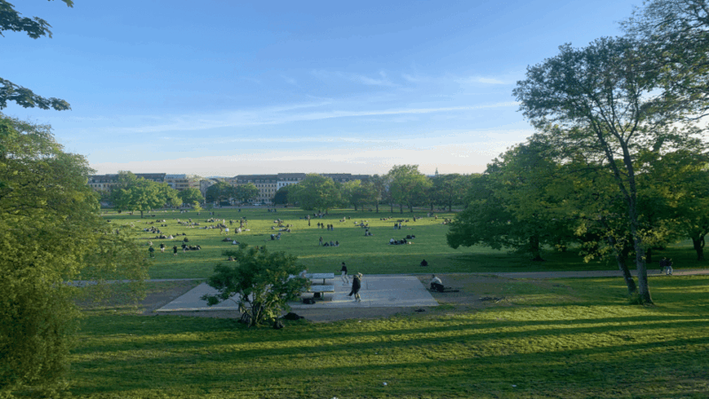 dresden-urban-nature-counter-culture-tours-dogs-welcome