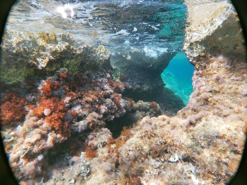 dubrovnik-half-day-private-boat-trip-to-elafiti-islands