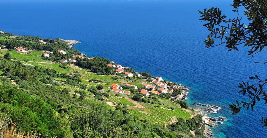 dubrovnik-private-wine-tasting-tour-to-peljesac-2