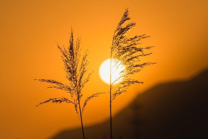 Early Bird Great Wall Private Tour with Chinese Breakfast from Beijing - Why Choose the Early Bird Great Wall Private Tour?