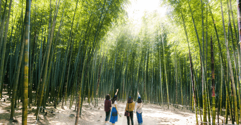 east-busan-small-group-photo-tour-max-7-pax