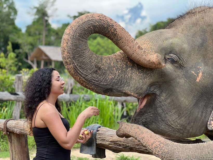 elephant-sanctuary-cambodia-pickup-and-drop-off-included