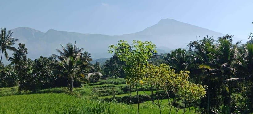 enjoy-the-rice-field-panorama-in-tete-batu-village