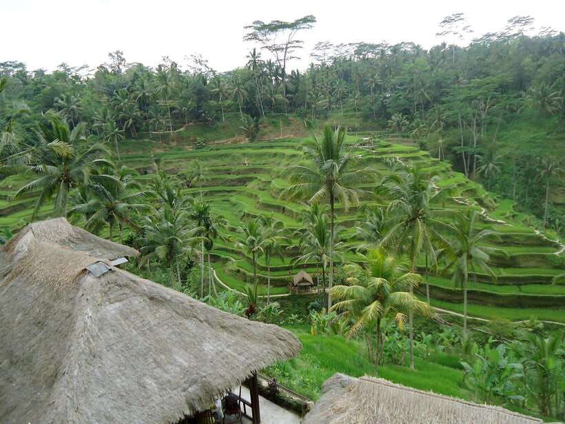 enjoy-ubud-tegallalang-tegenungan-waterfall-private-tour