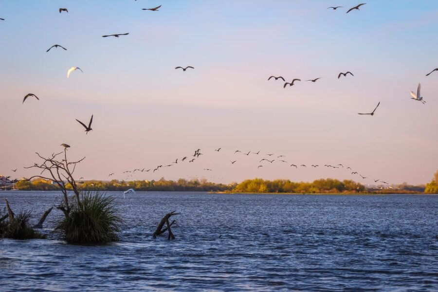 escaroupim-1-hour-boat-trip-guided-tour