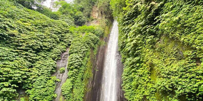 explore-rice-terraces-munduk-waterfall-trekking-experience