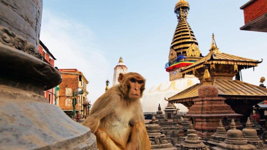 exploring-kathmanduprivate-chandragiri-swayambhunath-tour