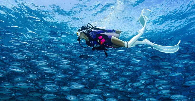 fisheye-divers-padi-open-water-course