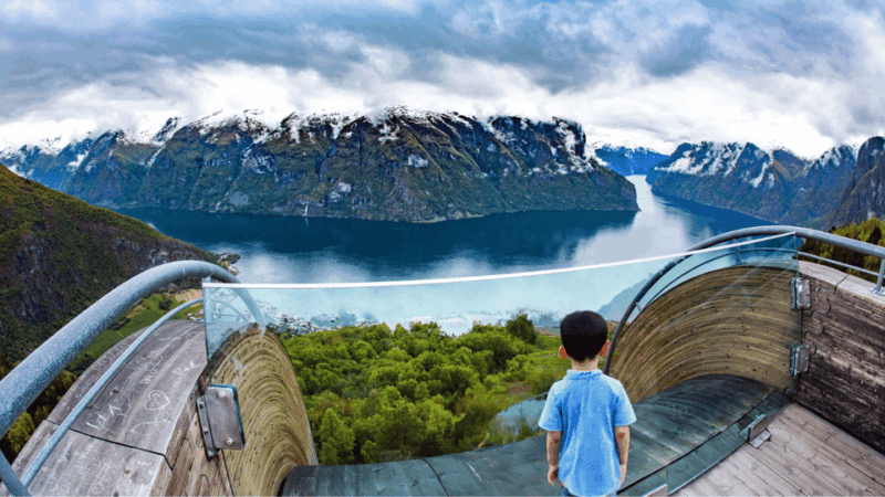 flam-flexible-tour-with-stegastein-cruise-and-train-include