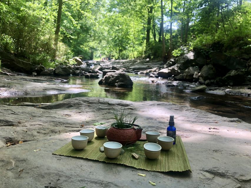 forest-bathing-nature-therapy-mini-retreat