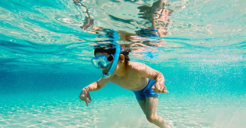 Fort Walton Beach: Morning Dolphin Cruise With Snorkel Stop