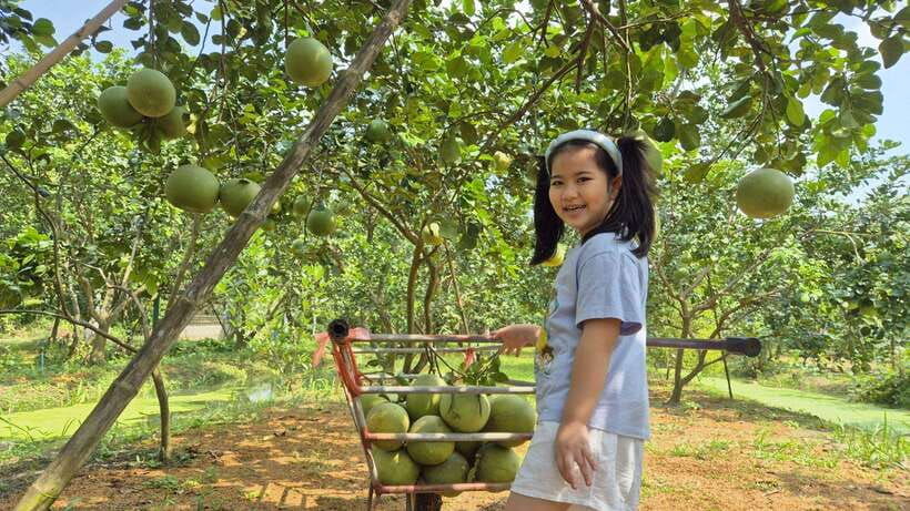 from-bangkok-taste-and-tune-of-samut-songkhram-private-tour