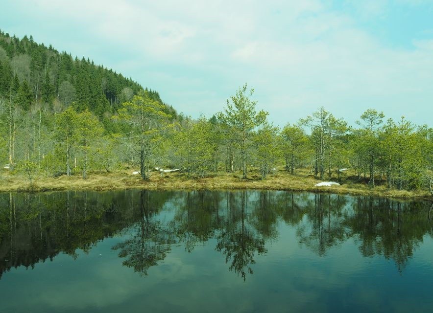 from-brasov-small-group-volcanic-lake-day-trip