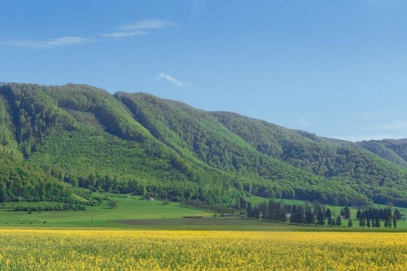 from-bucharest-bear-sanctuary-and-7-ladders-canyon-day-trip