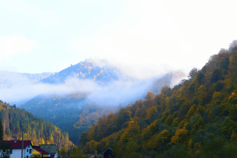 from-bucharest-bear-sanctuary-and-7-ladders-canyon-day-trip