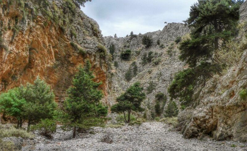 from-chania-almyrida-imbros-gorge-hike