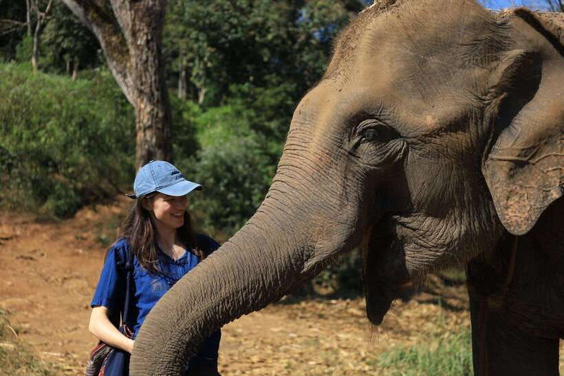 from-chiang-mai-living-green-elephant-sanctuary-tour