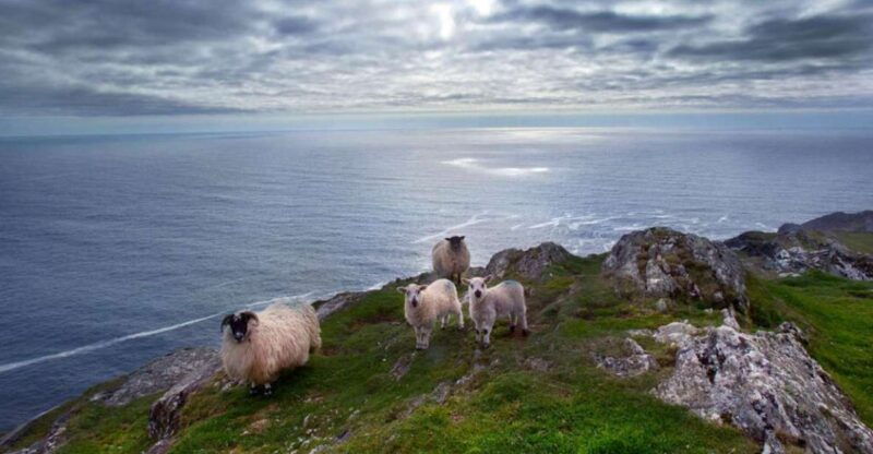 from-cork-guided-full-day-west-cork-to-mizen-head-tour