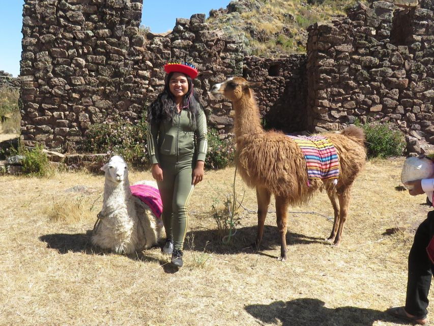 from-cusco-llama-trekking