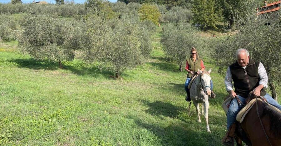 from-florence-horseback-ride-and-olive-oil-and-food-tasting