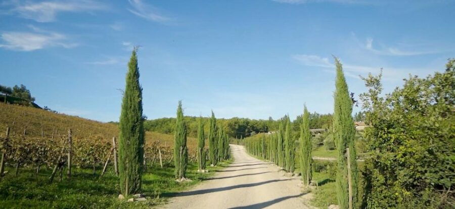 from-florence-private-half-day-chianti-tour-wine-tasting