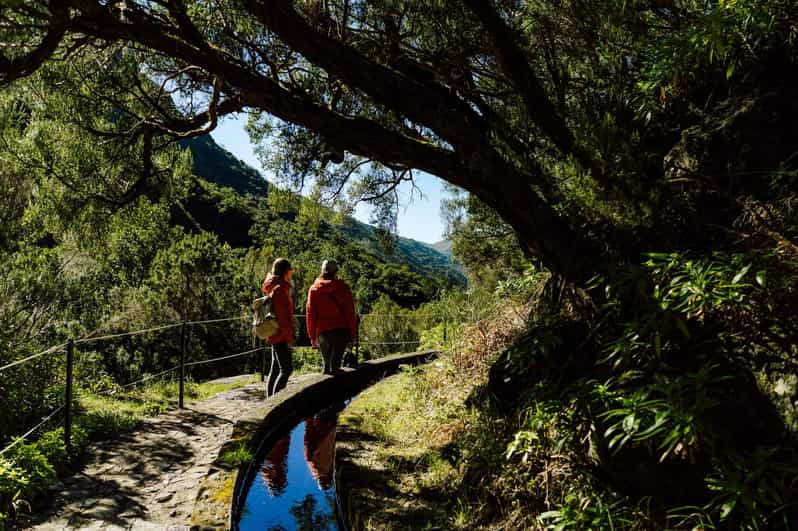 from-funchal-canico-rabacal-hike-25-fontes-bus-transfer