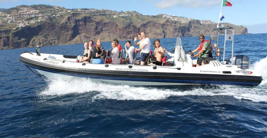 from-funchal-whales-and-dolphin-adventure-tour