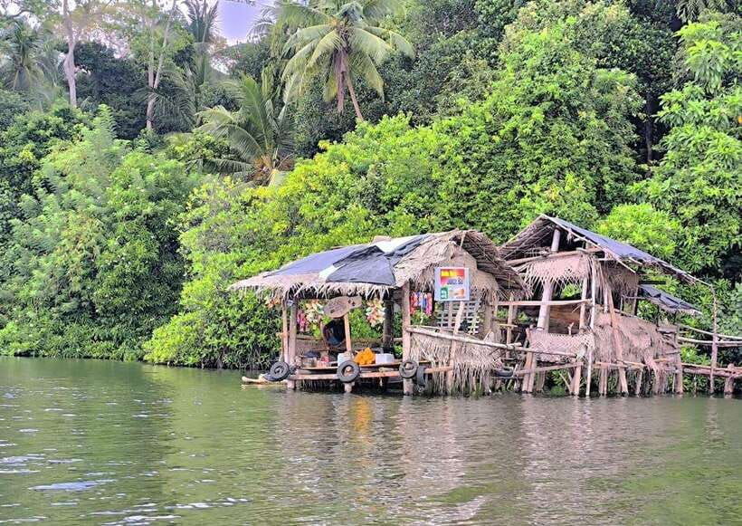 from-galle-colombomadu-river-safari-turtle-hatchery-visit