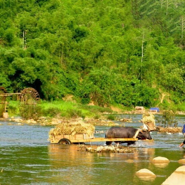 from-hanoi-pu-luong-2d1n-offbeat-trekking-tour