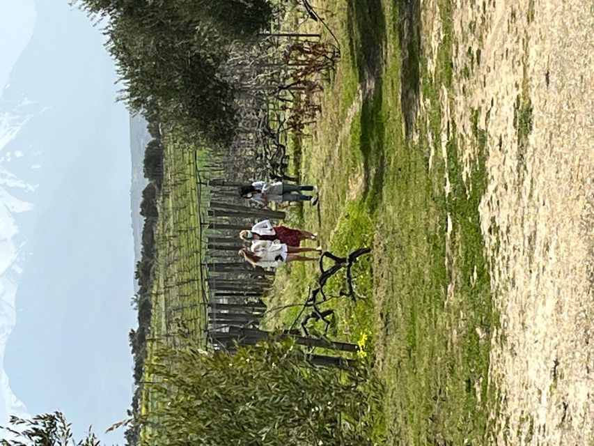 from-heraklion-wine-tasting-experience-at-lyrarakis-winery