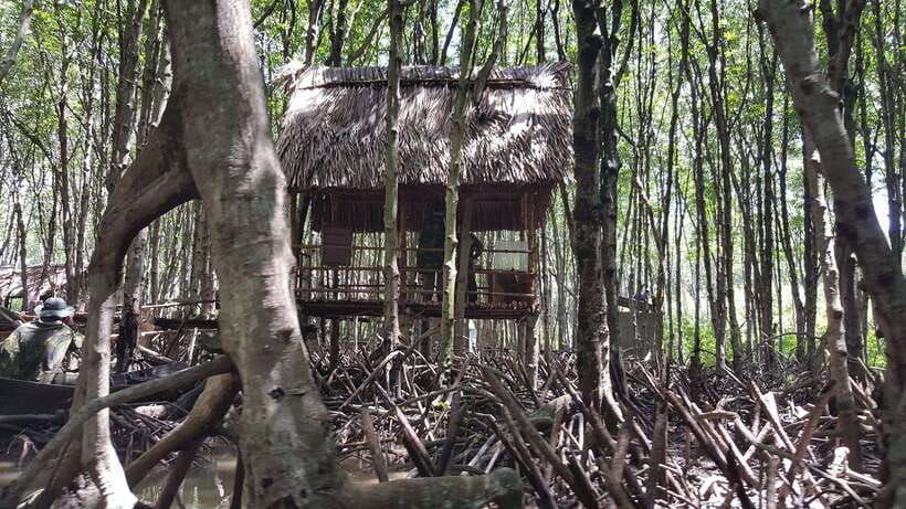 from-ho-chi-minh-can-gio-mangrove-forest-private-tour