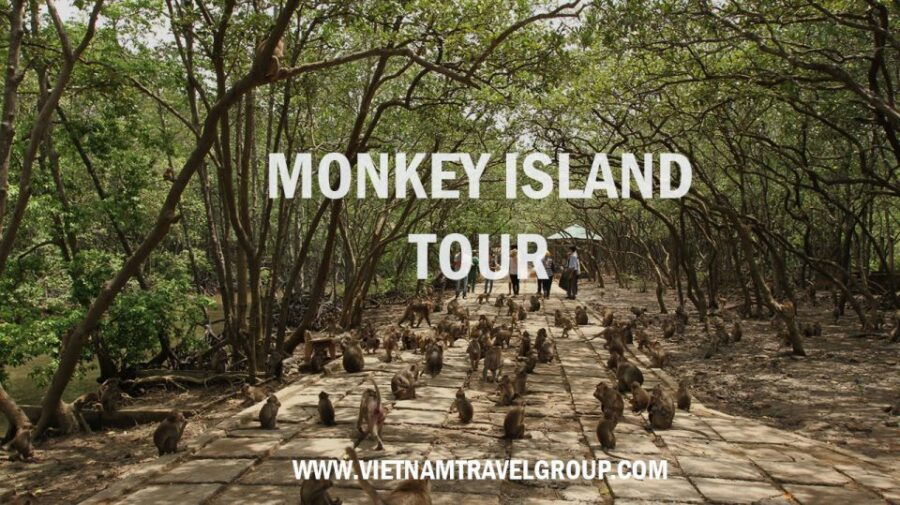 from-ho-chi-minh-city-can-gio-mangrove-guided-forest-tour